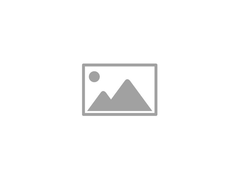 Polo vert prairie manches longues avec logo original 